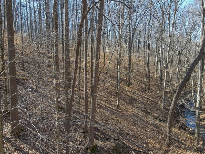 1008 Larkwood Rd, Kingston Springs, TN 37082