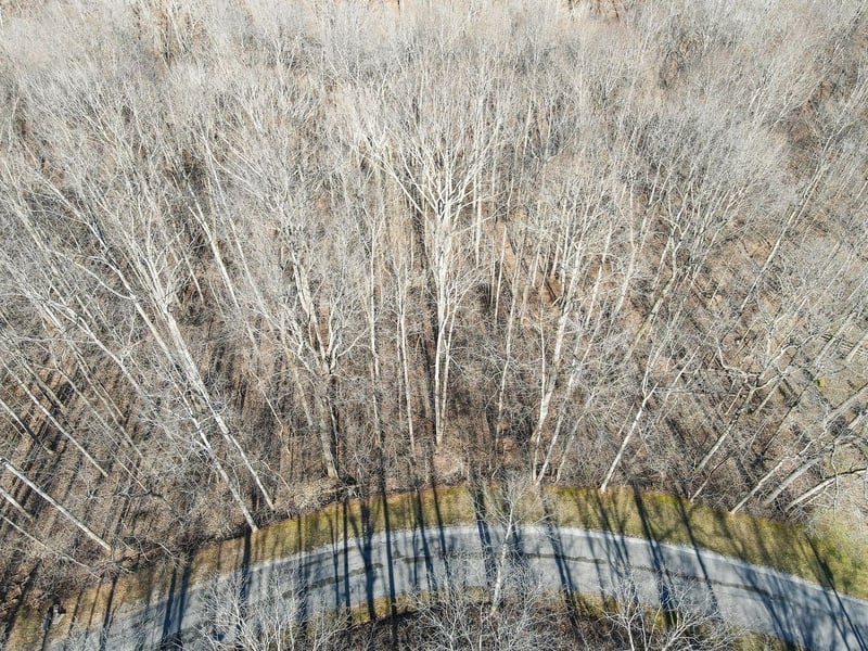 1008 Larkwood Rd, Kingston Springs, TN 37082