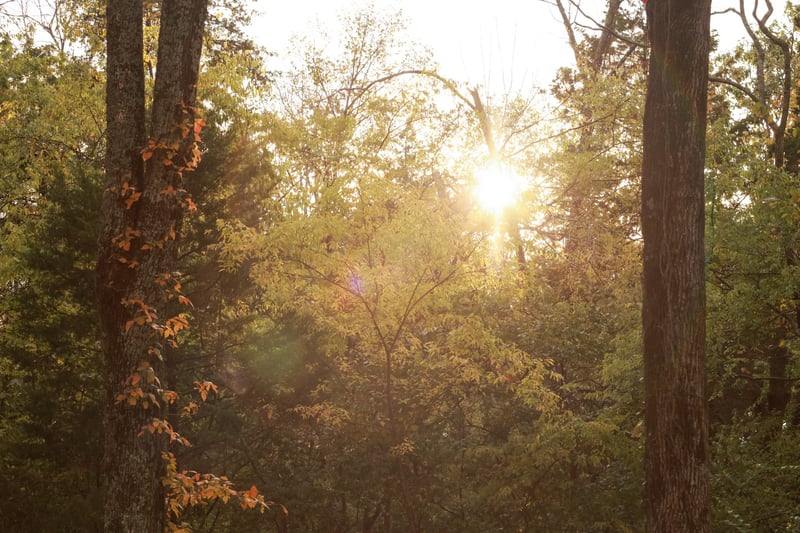 9227 Old Smyrna Rd Lot 9, Brentwood, TN 37027