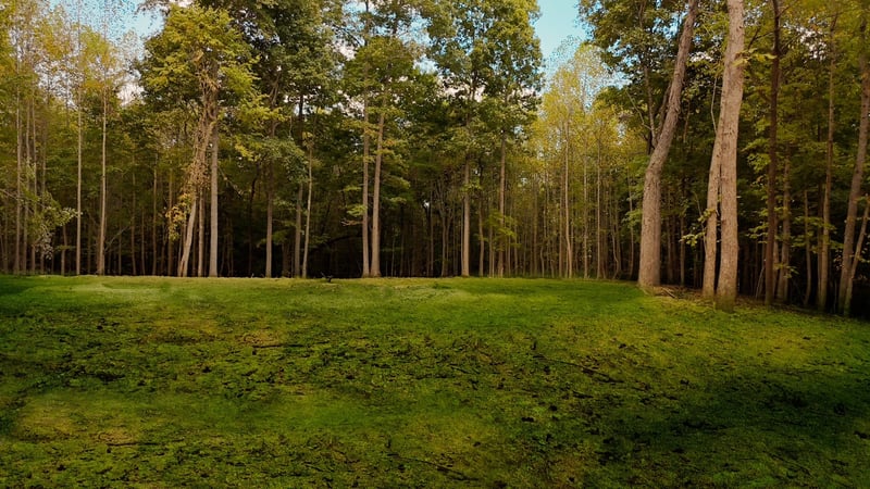 7960 Bill Moss Rd, White House, TN 37188