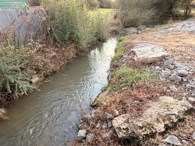 652 Ella West Cir, Lynnville, TN 38472