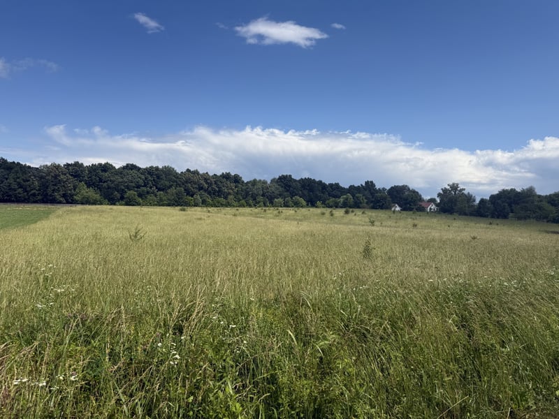 0 Bill Anderson Rd, Portland, TN 37148