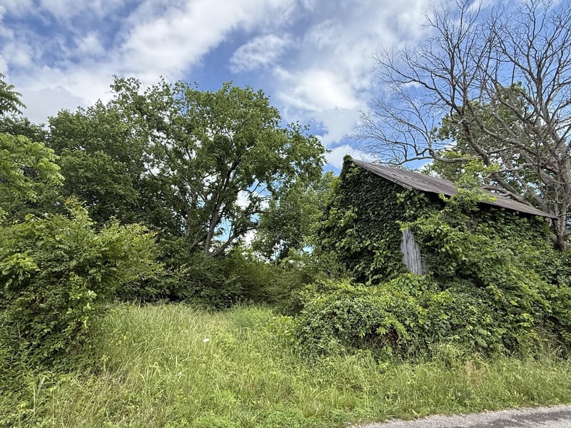 0 Bill Anderson Rd, Portland, TN 37148