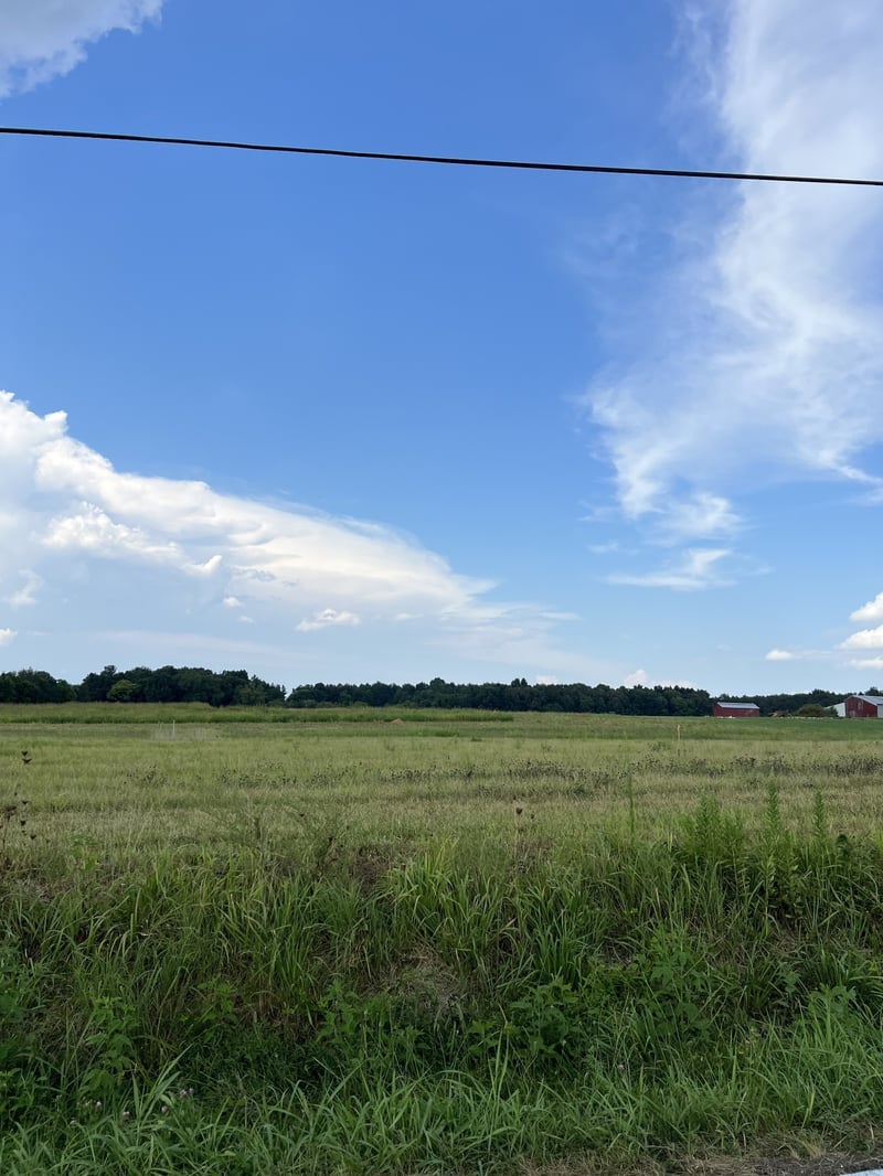 5570 Borthick Rd, Springfield, TN 37172