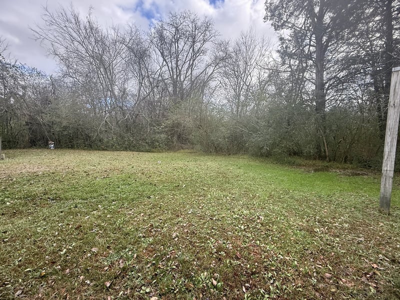 1370 Daniels St, Christiana, TN 37037