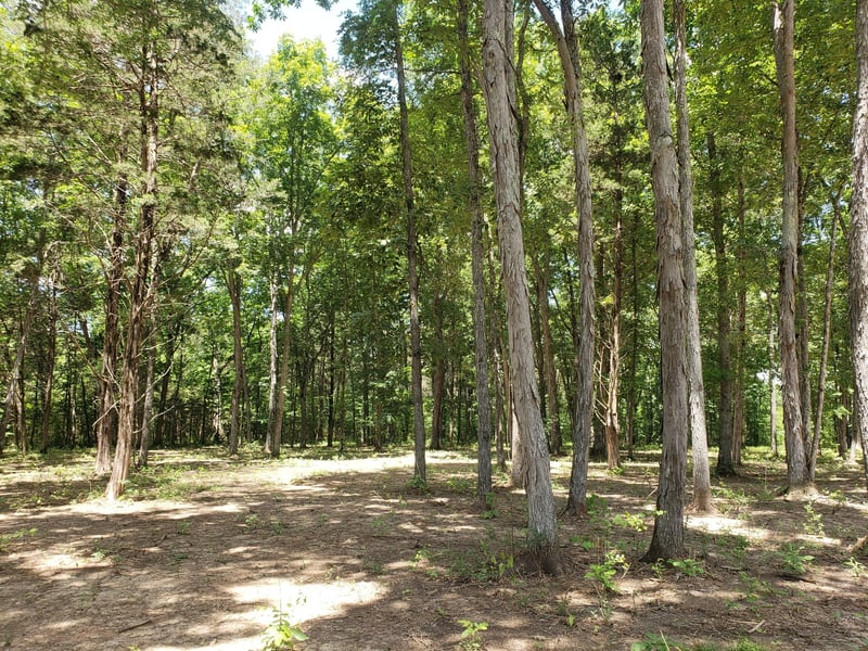 4821 Kedron Rd, Spring Hill, TN 37174