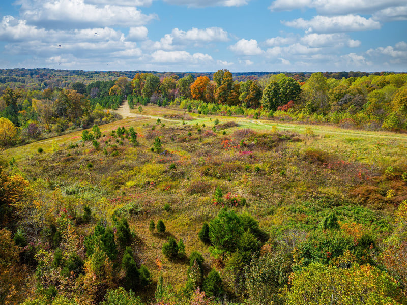 Meadows Rd, Portland, TN 37148