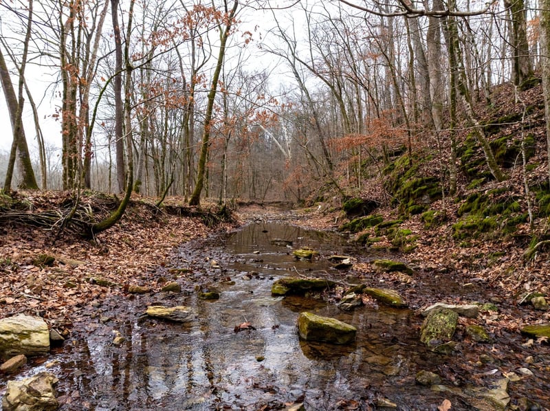 0 Shelter Branch Rd Lot 1, Cumberland Furnace, TN 37051
