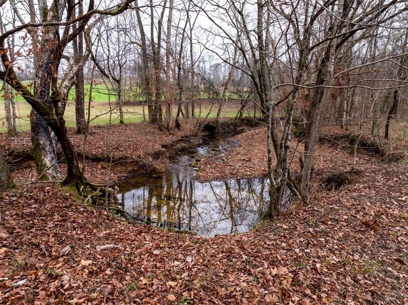 0 Shelter Branch Rd Lot 1, Cumberland Furnace, TN 37051
