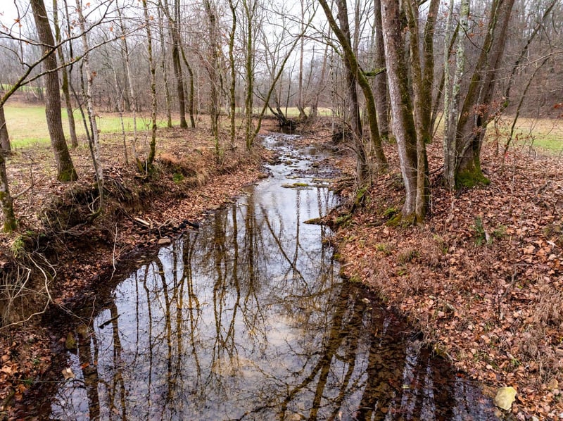 0 Shelter Branch Rd Lot 1, Cumberland Furnace, TN 37051