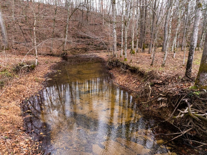 0 Shelter Branch Rd Lot 3, Cumberland Furnace, TN 37051