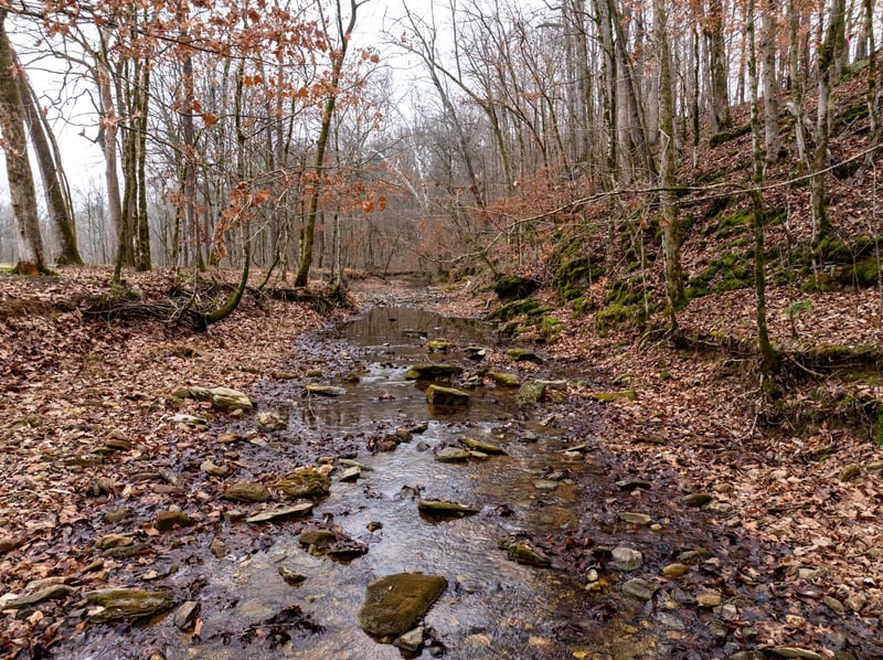 0 Shelter Branch Rd Lot 4, Cumberland Furnace, TN 37051