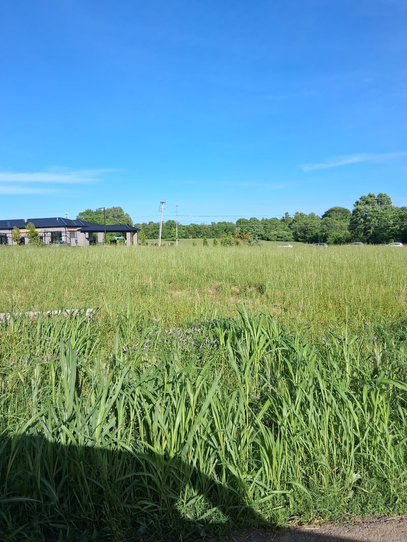 569 New Shackle Island Rd, Hendersonville, TN 37075