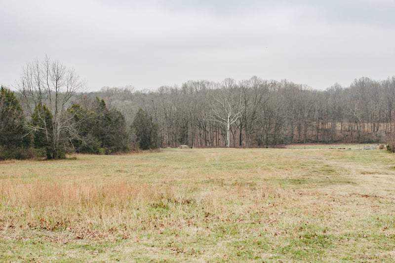 2579 New Hall Rd, Greenbrier, TN 37073