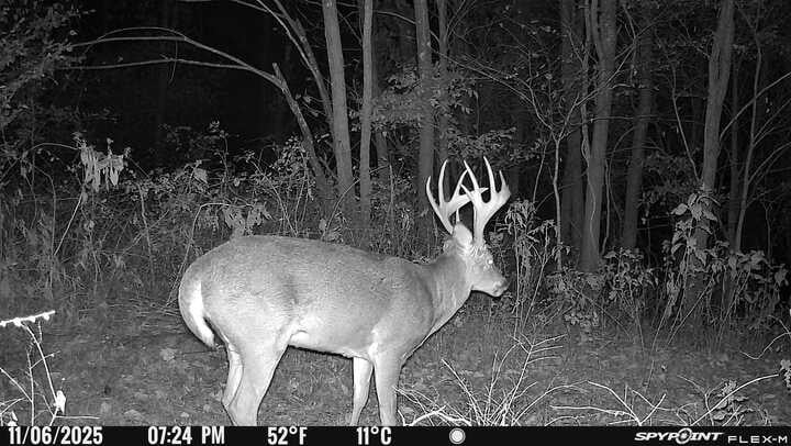 0 Red Tuttle Rd, Bethpage, TN 37022