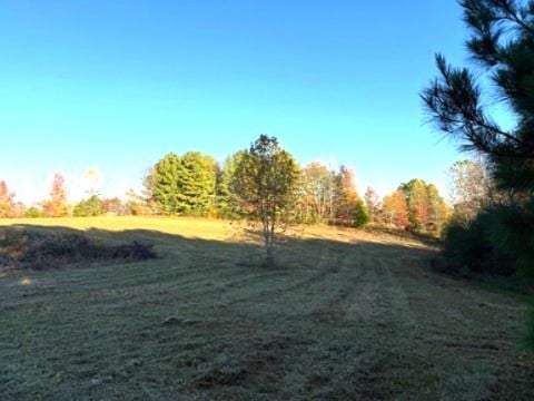 539 Womack Rd, Bethpage, TN 37022