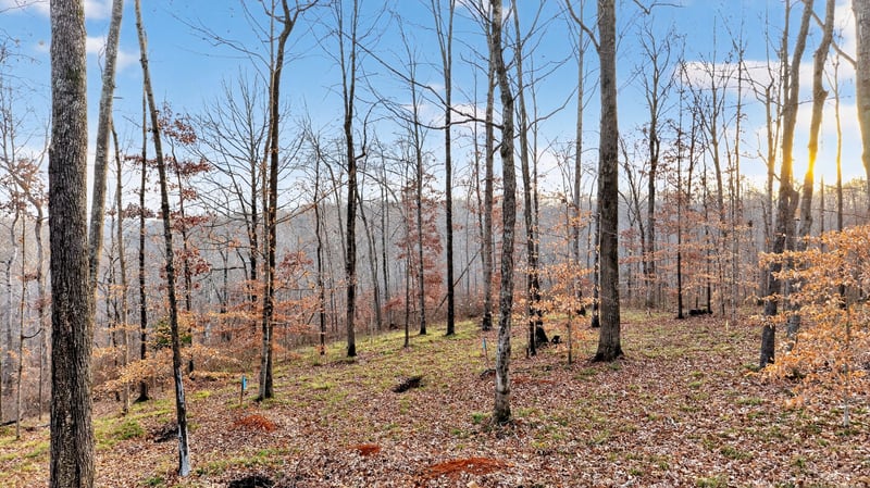 100 Waynoe Rd, Ashland City, TN 37015