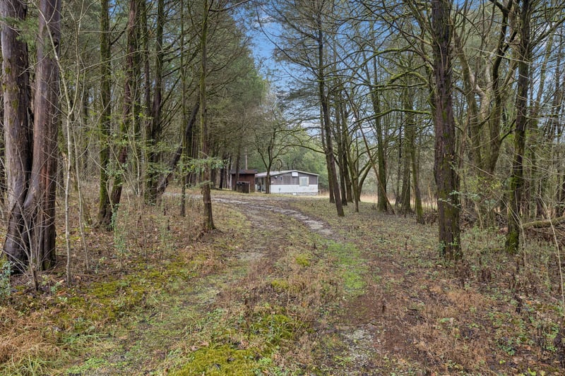 165 Holmes Gap Rd, Brush Creek, TN 38547
