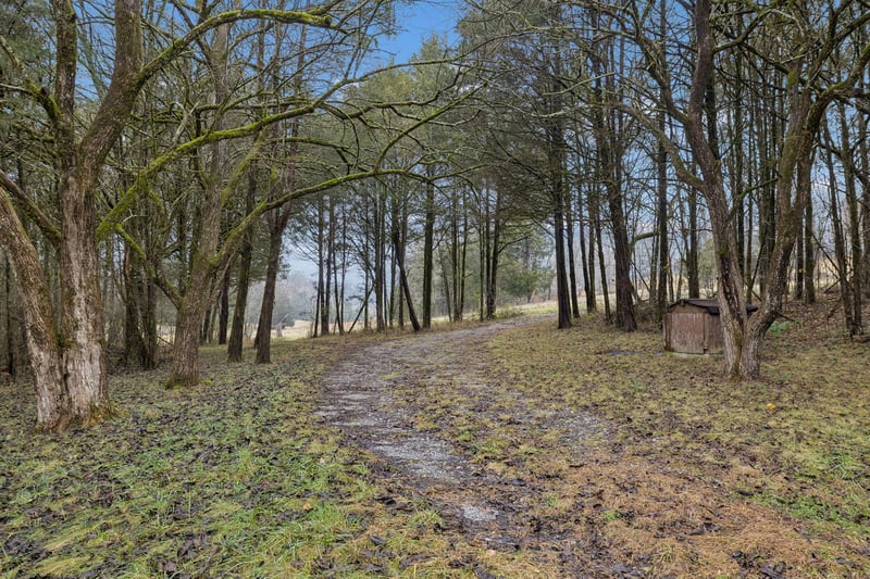 165 Holmes Gap Rd, Brush Creek, TN 38547