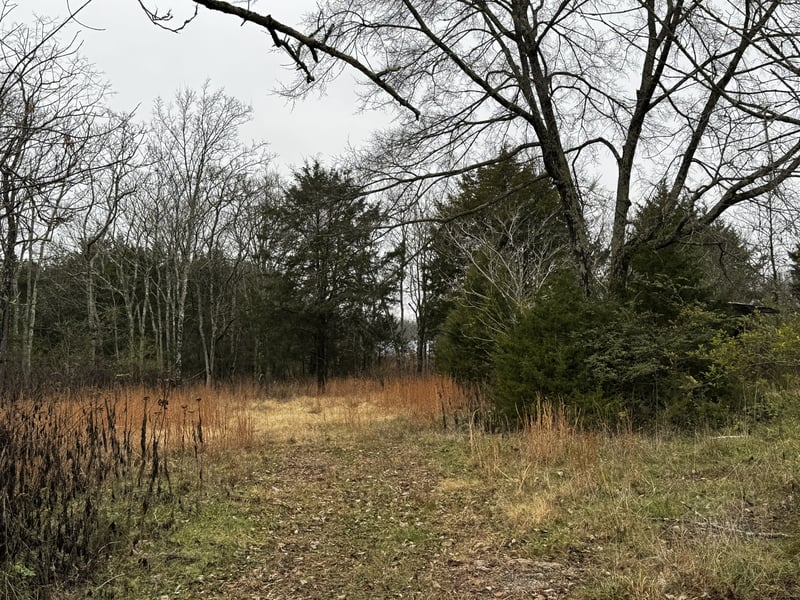 3421 Joe Brown Rd, Murfreesboro, TN 37129