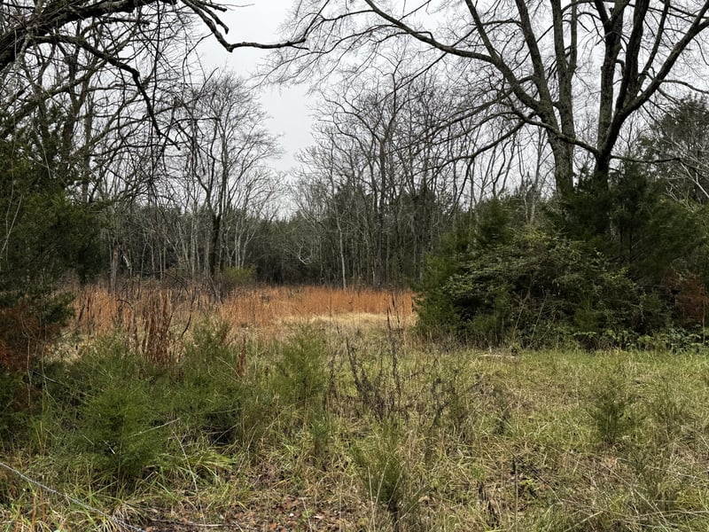 3421 Joe Brown Rd, Murfreesboro, TN 37129