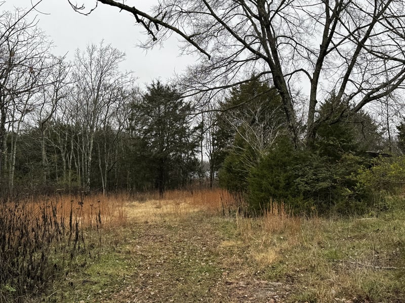 3421 Joe Brown Rd, Murfreesboro, TN 37129