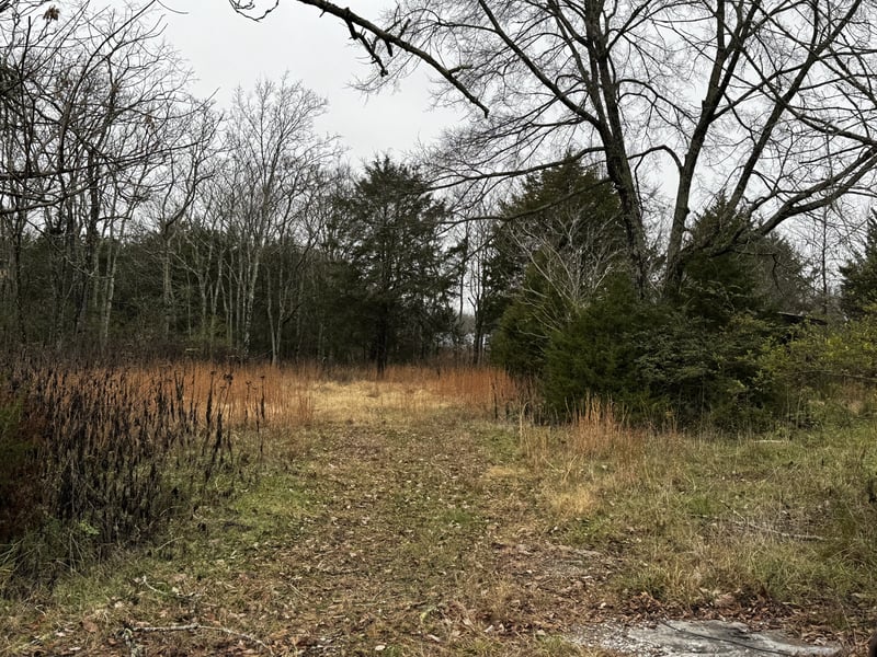 3421 Joe Brown Rd, Murfreesboro, TN 37129