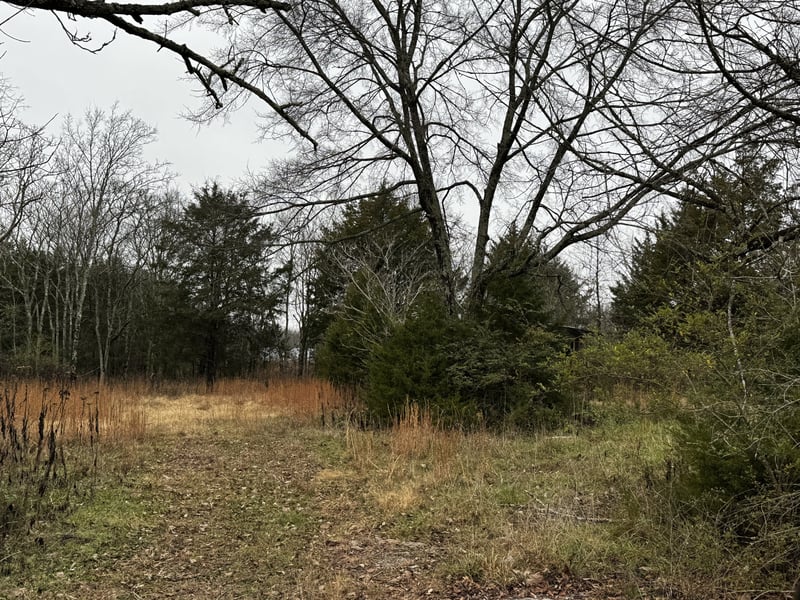 3421 Joe Brown Rd, Murfreesboro, TN 37129