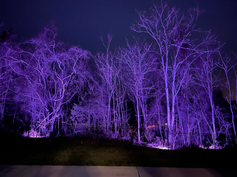 623 Silva Ln, Nolensville, TN 37135