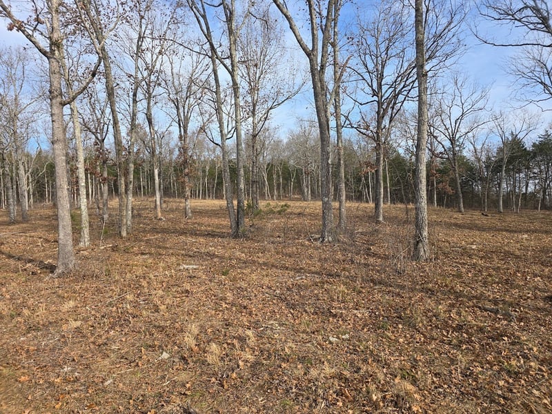 2421 Richland Richardson Rd, Murfreesboro, TN 37130