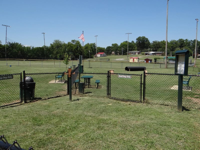 604 Sun Bear Ln, Mount Pleasant, TN 38474