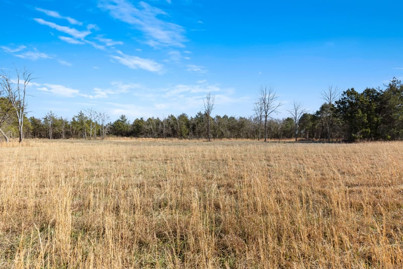 3247 Rucker Rd, Christiana, TN 37037