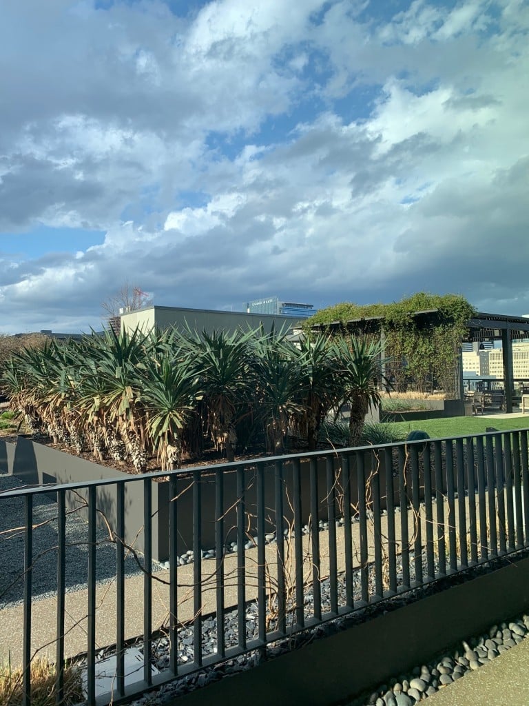 1212 Laurel St #502, Nashville, TN 37203