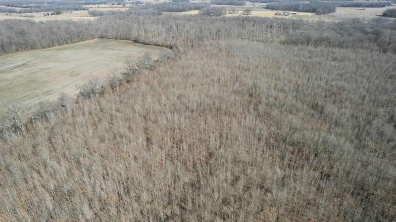 Lakeview Rd, Springfield, TN 37172