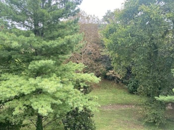 409 Ashlawn Ct, Nashville, TN 37215