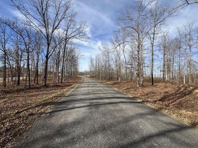 1 Slaughter Rd, Primm Springs, TN 38476