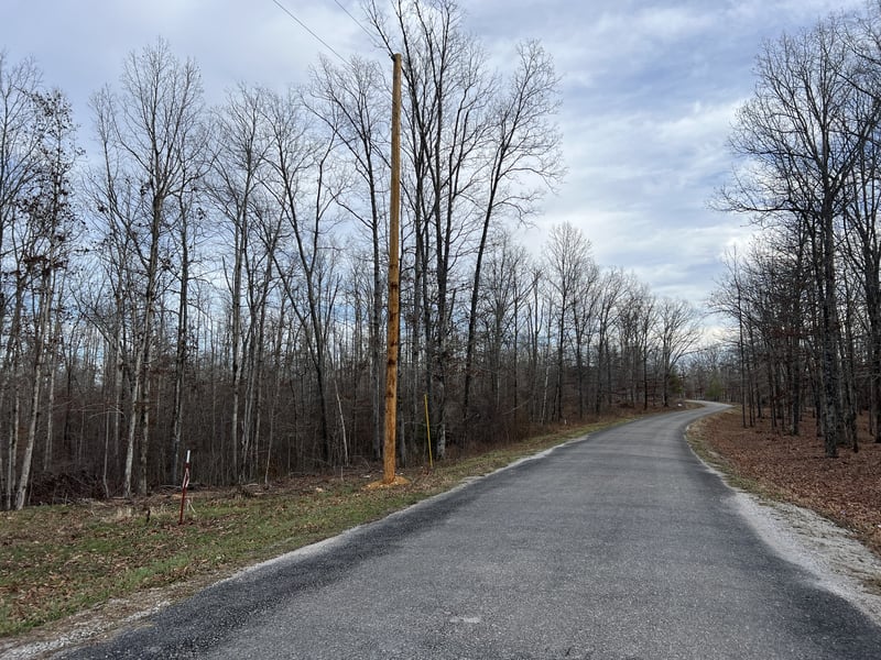 1 Slaughter Rd, Primm Springs, TN 38476