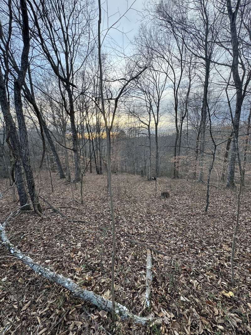 0 Macon Wall Rd, Ashland City, TN 37015