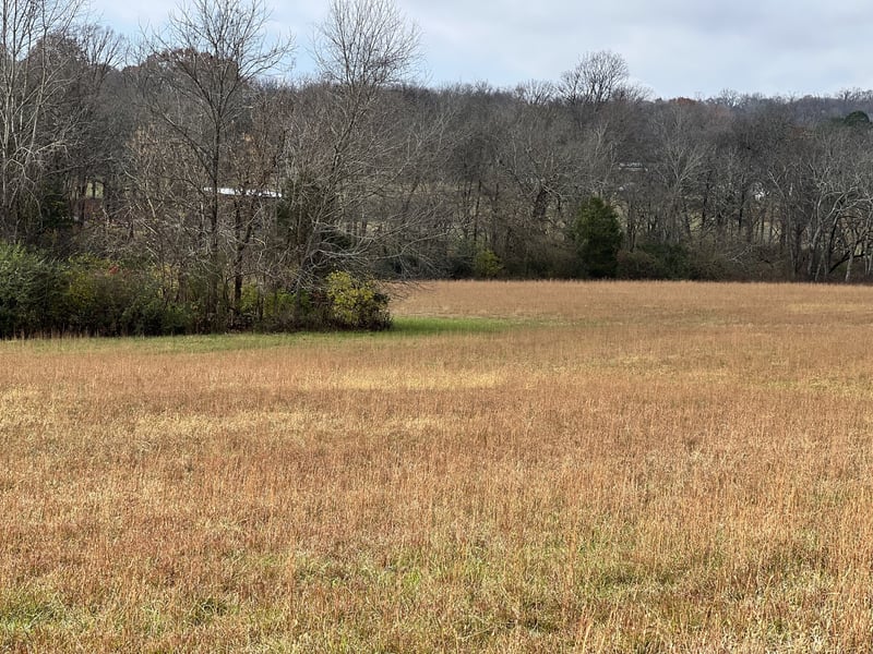 Carters Creek Pike Lot 1, Columbia, TN 38401