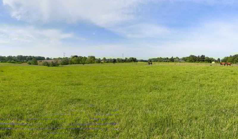 7373 New Chapel Rd, Springfield, TN 37172