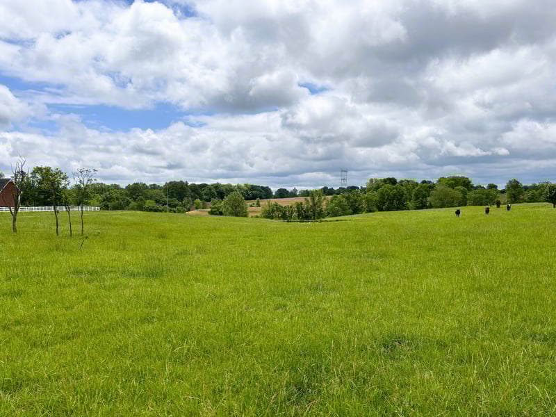 7373 New Chapel Rd, Springfield, TN 37172