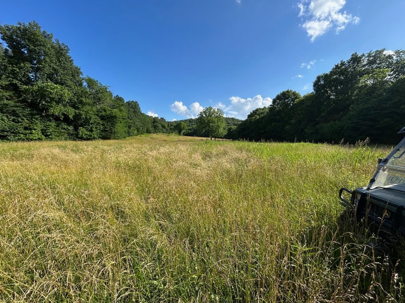 1 Millersburg Rd, Christiana, TN 37037