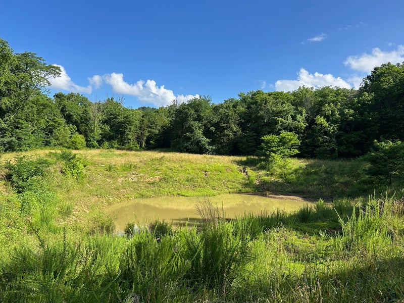 1 Millersburg Rd, Christiana, TN 37037