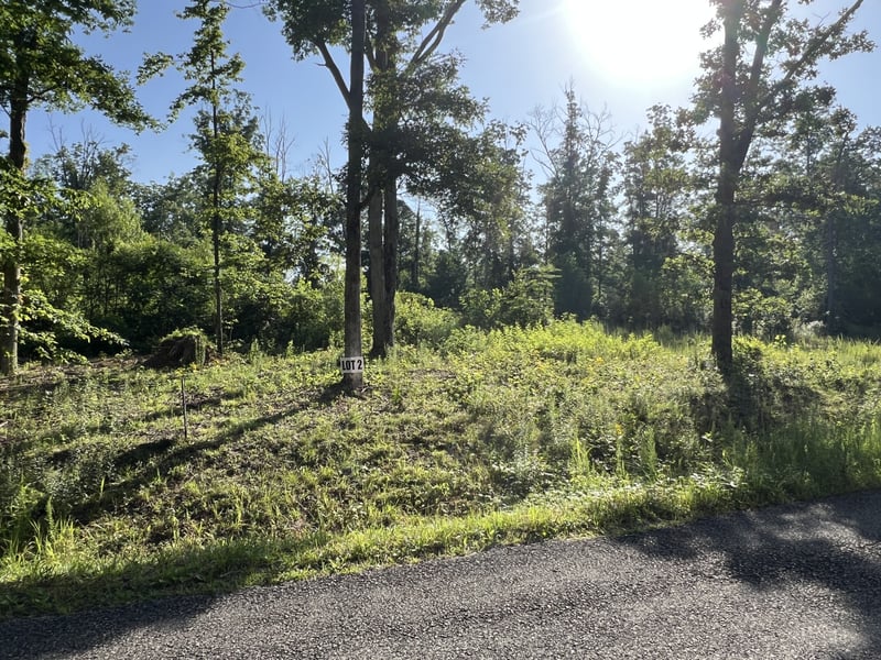 2 Slaughter Rd, Primm Springs, TN 38476