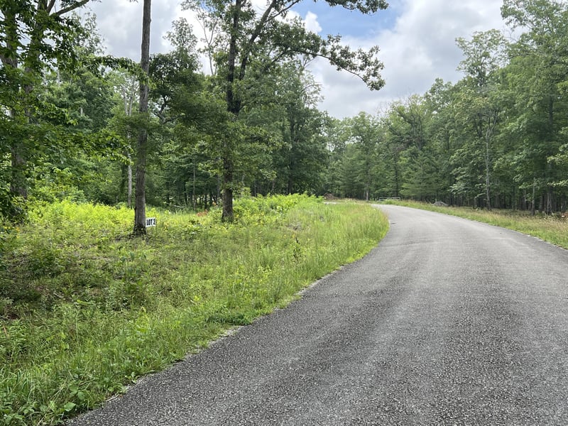 2 Slaughter Rd, Primm Springs, TN 38476