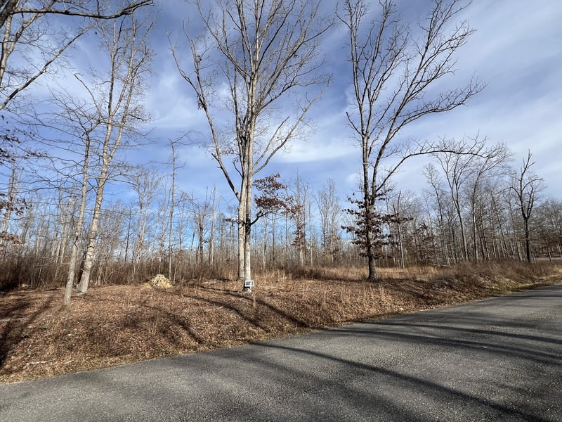 2 Slaughter Rd, Primm Springs, TN 38476