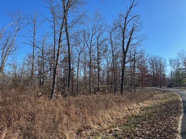 3 Slaughter Rd, Primm Springs, TN 38476