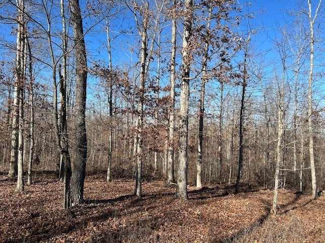 4 Slaughter Rd Lot 4, Primm Springs, TN 38476