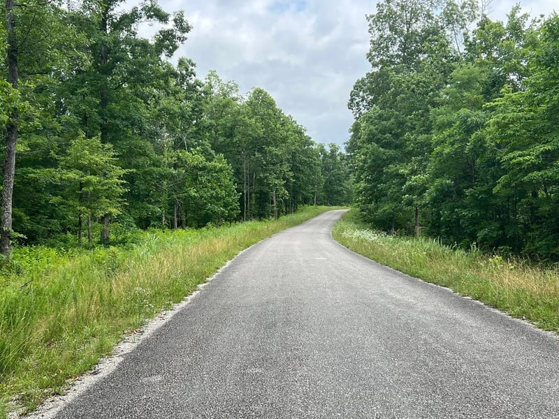 4 Slaughter Rd, Primm Springs, TN 38476