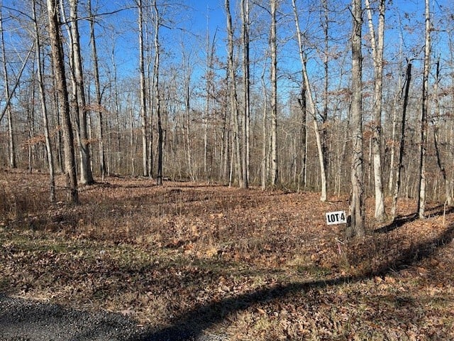 4 Slaughter Rd, Primm Springs, TN 38476